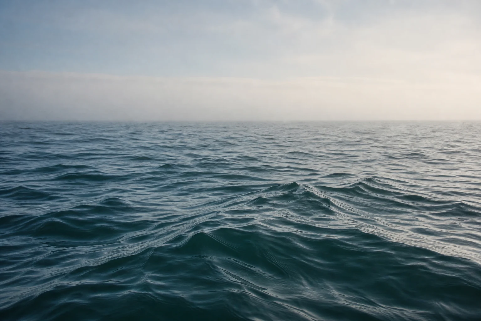 Quiet morning swells across open water